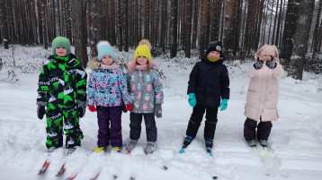 Лыжные прогулки в лесу.