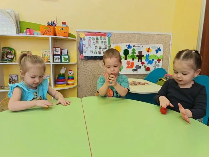 Игры Су-Джок.
