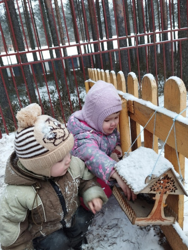 Акция "Покормите птиц зимой!".